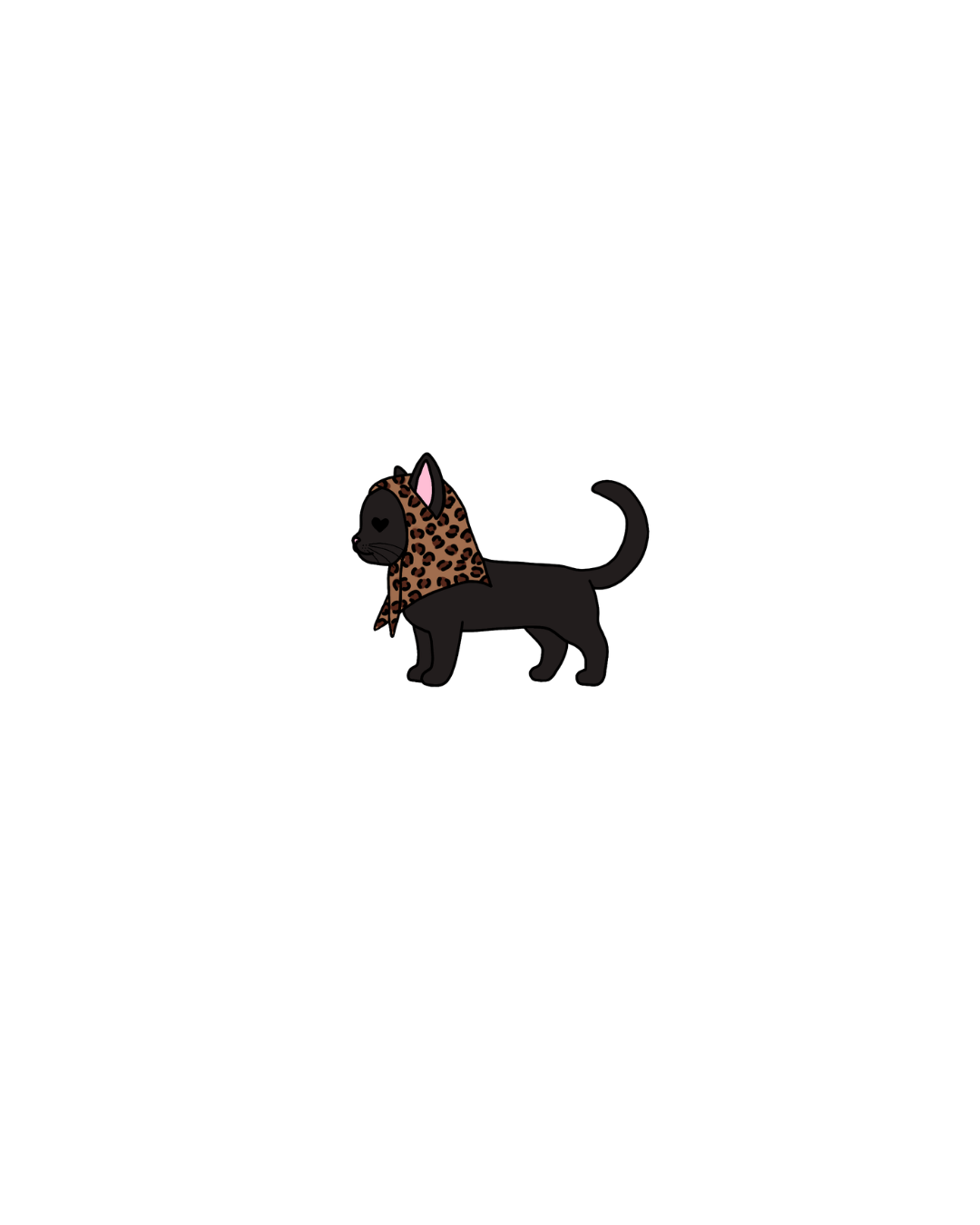 VISUELS CHAT