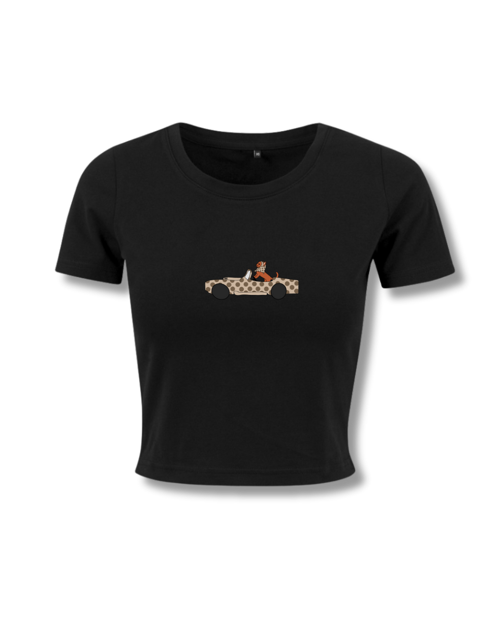 BOX VOITURE CHAT NOIR