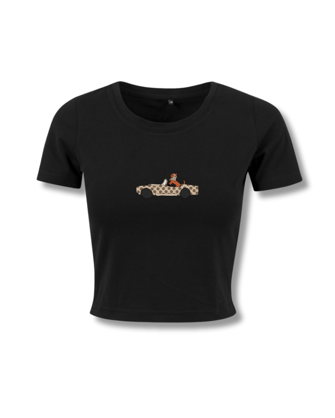 BOX VOITURE CHAT NOIR