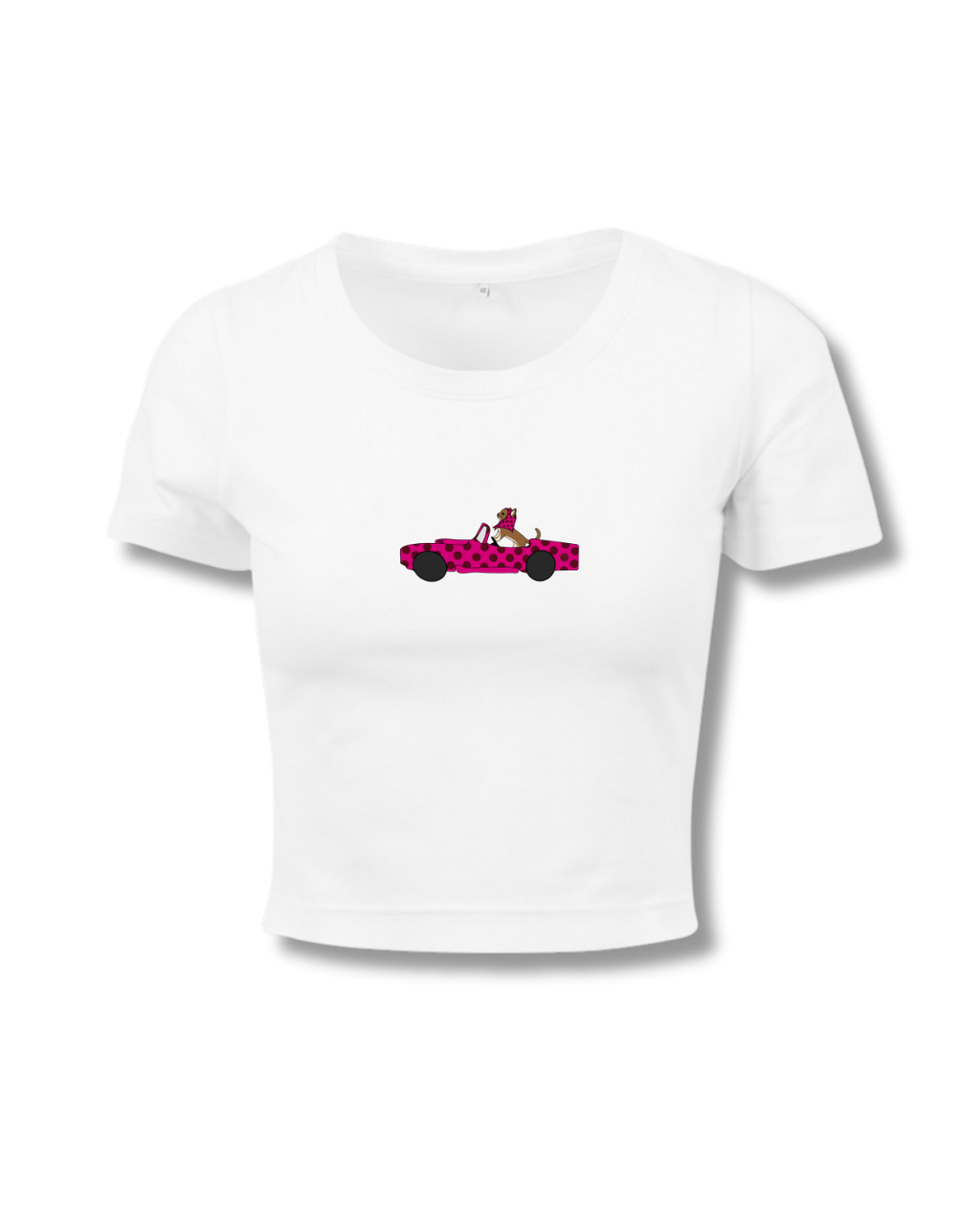 BOX VOITURE CHAT BLANC