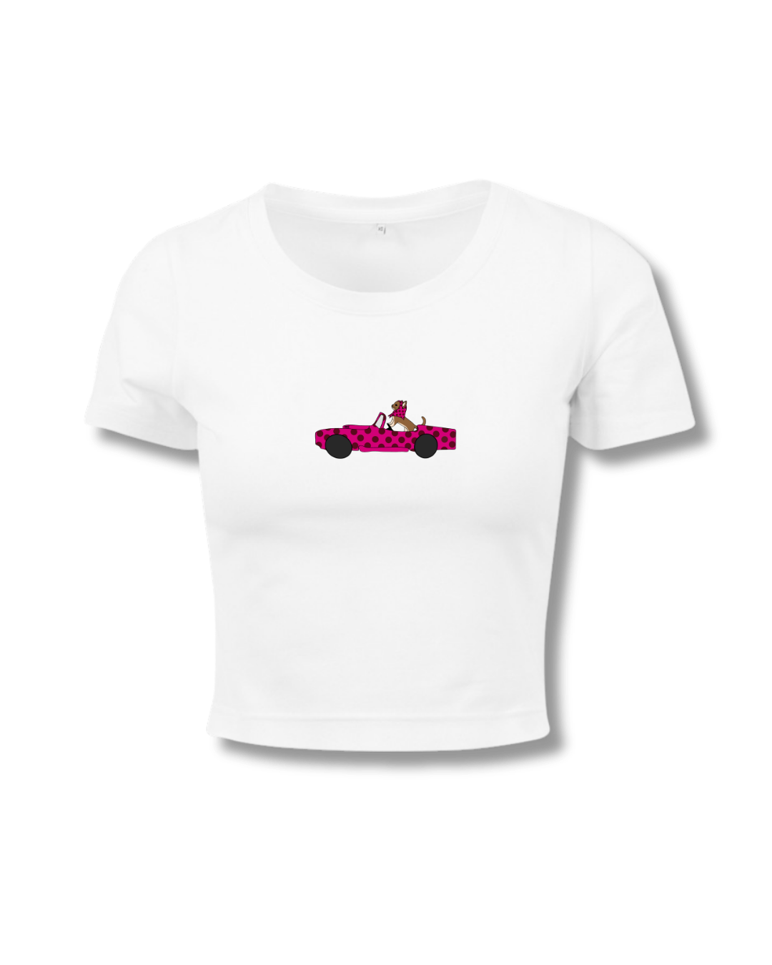 BOX VOITURE CHAT BLANC