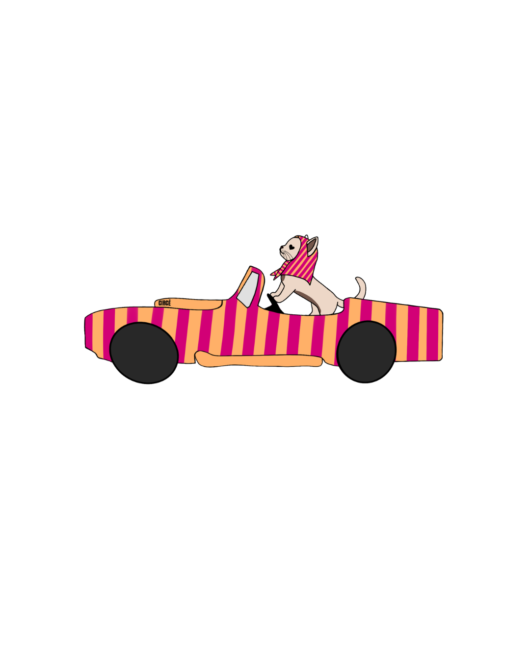 VISUELS VOITURE CHAT