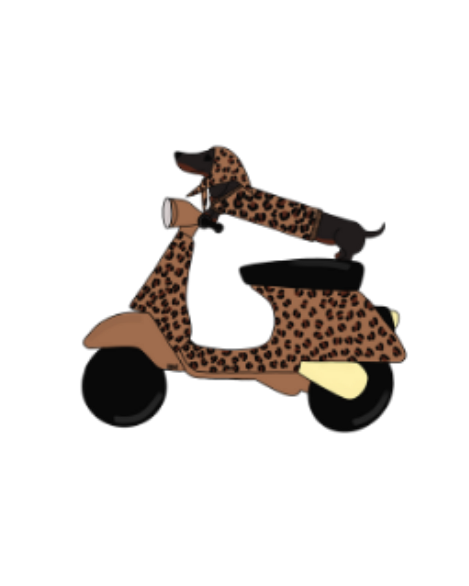 VISUELS TECKEL SCOOTER