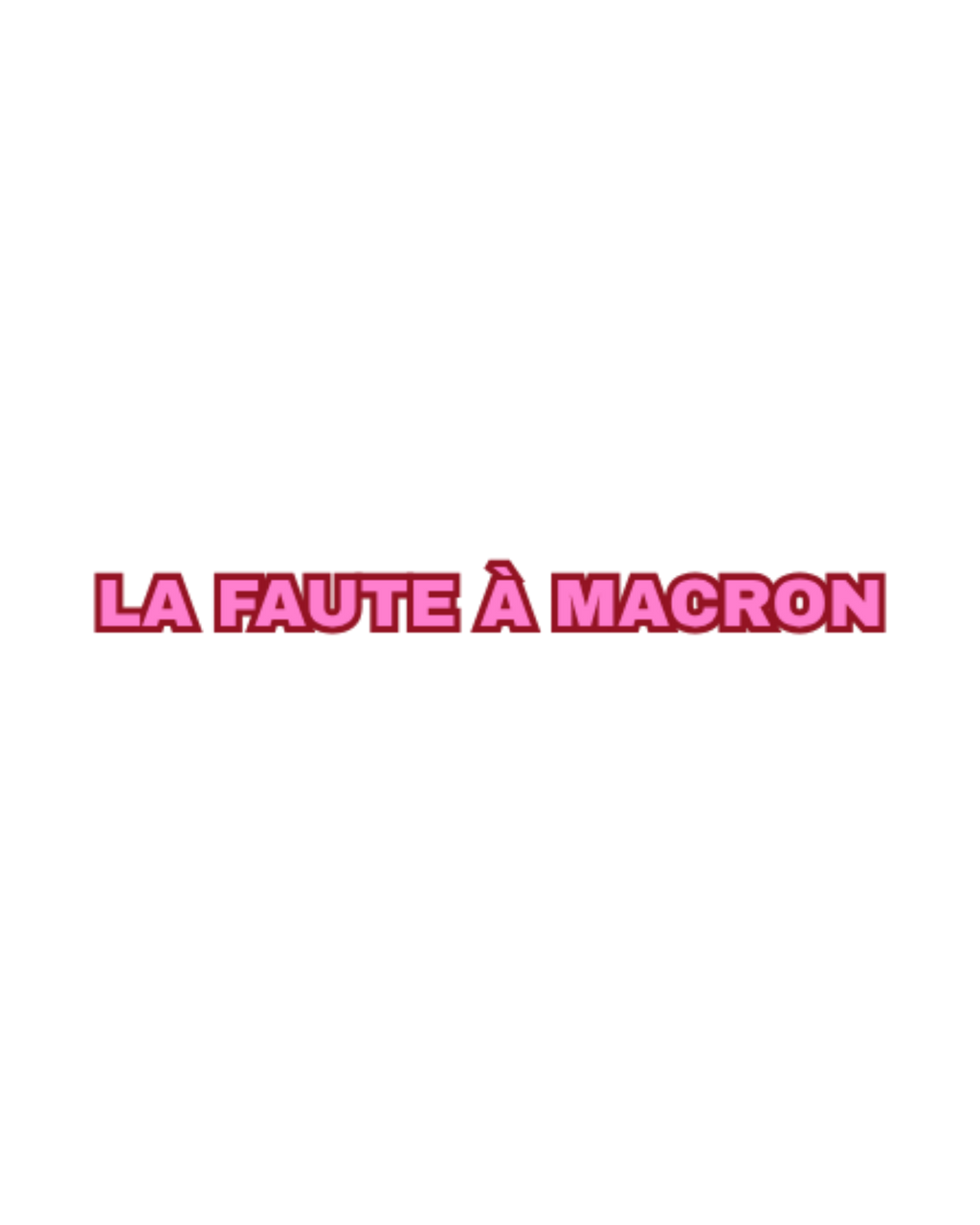 VISUELS LA FAUTE À MACRON