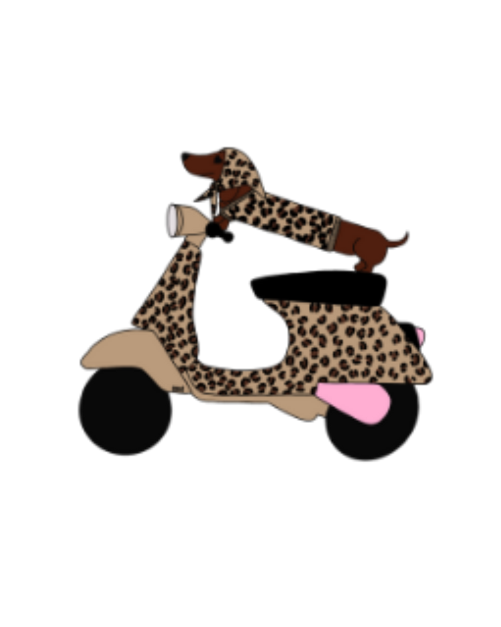VISUELS TECKEL SCOOTER