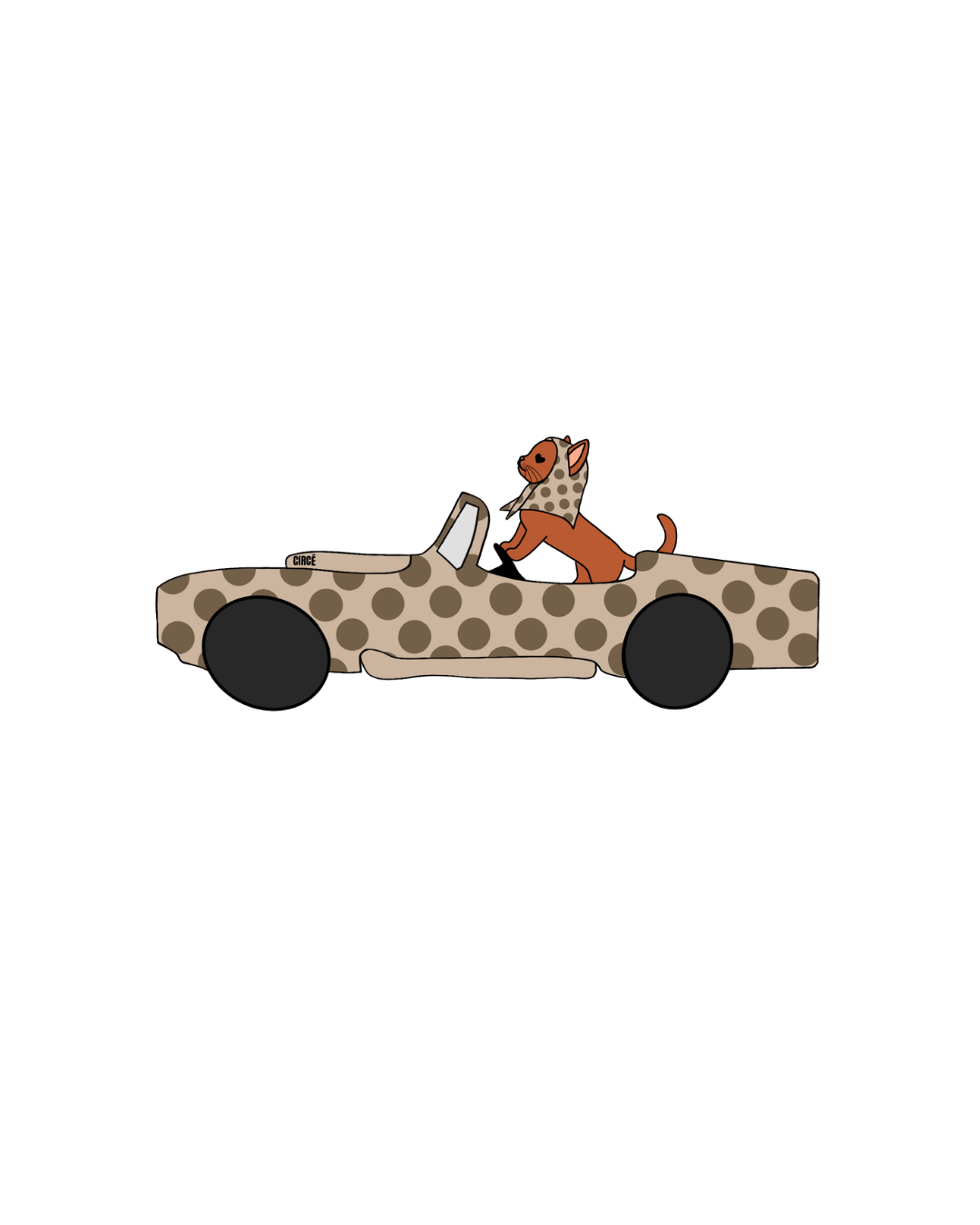 VISUELS VOITURE CHAT