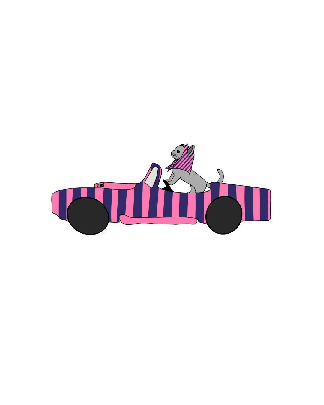 VISUELS VOITURE CHAT