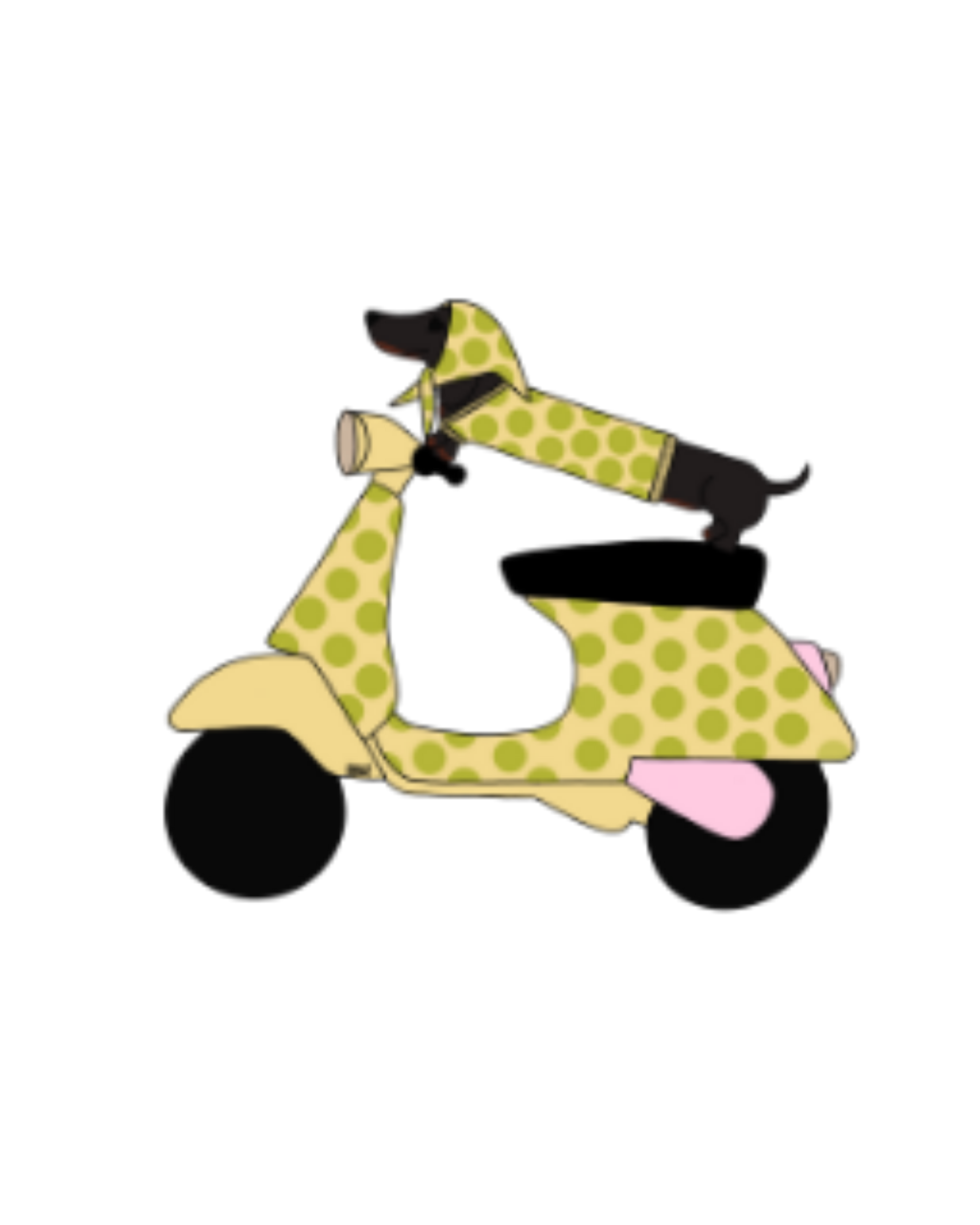 VISUELS TECKEL SCOOTER