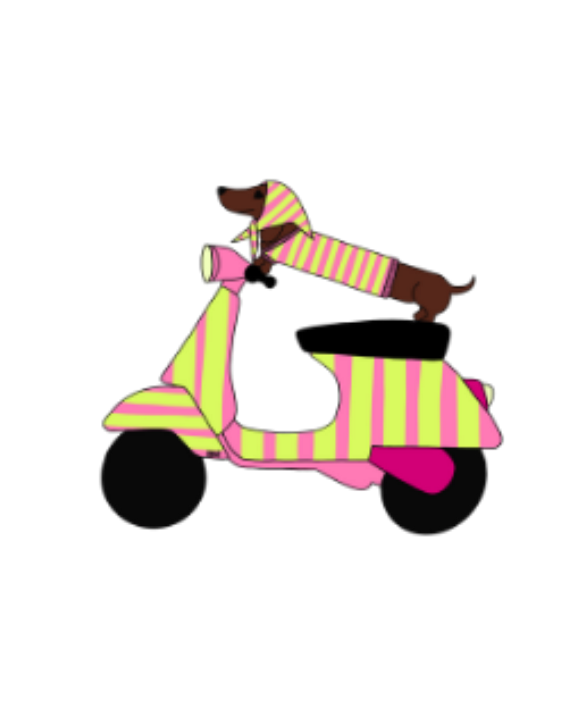 VISUELS TECKEL SCOOTER