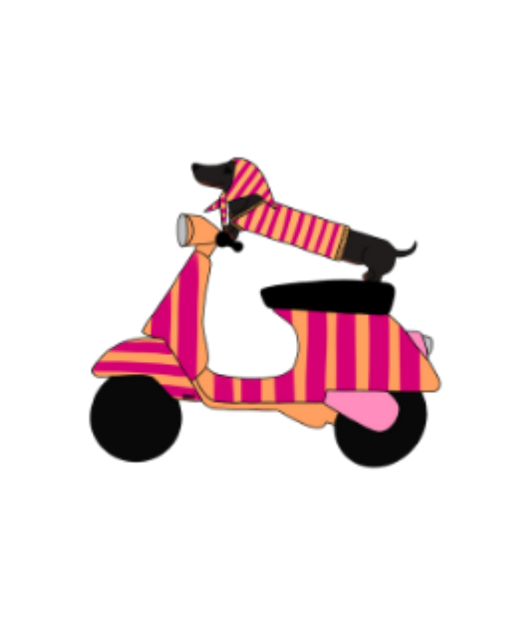VISUELS TECKEL SCOOTER