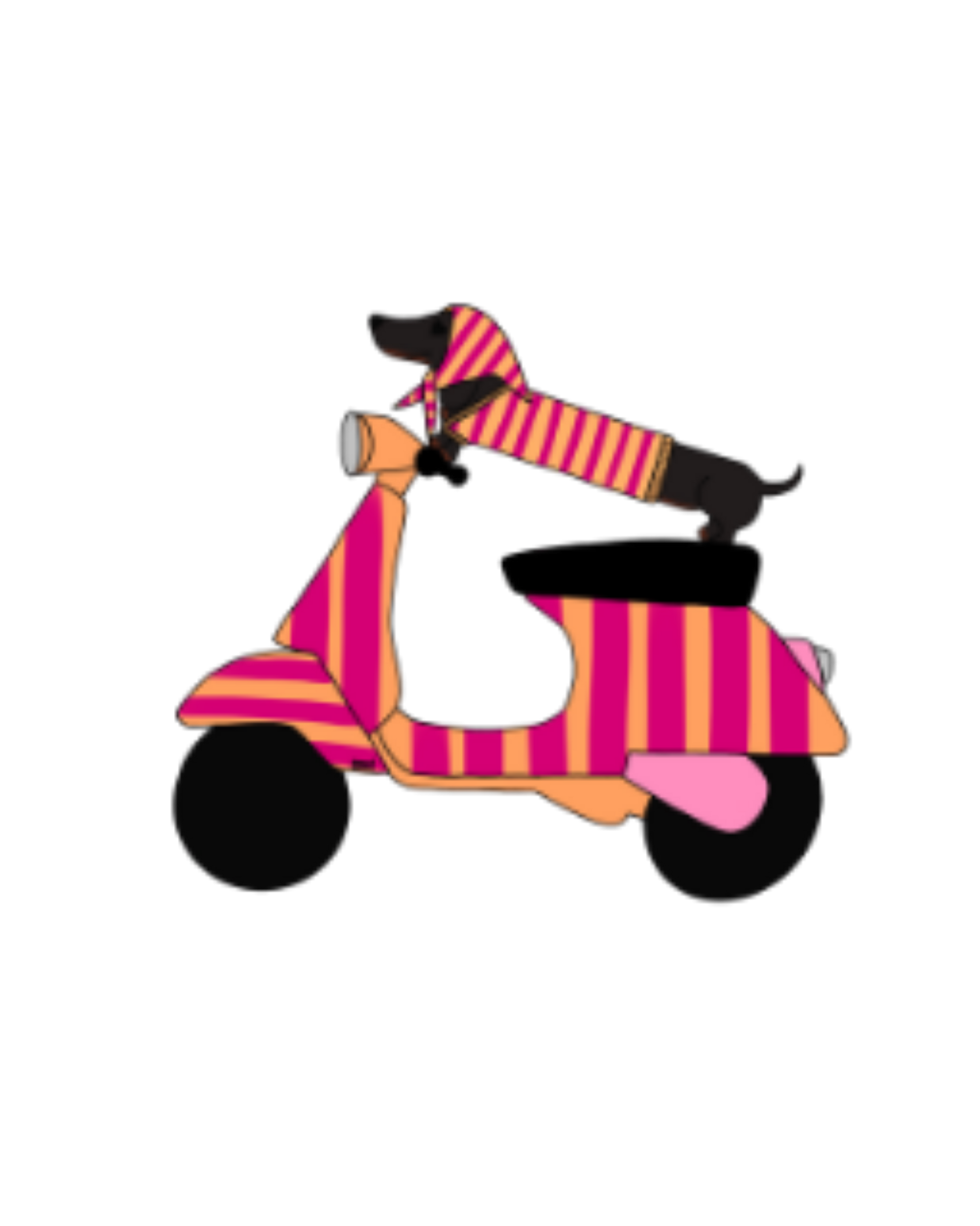 VISUELS TECKEL SCOOTER
