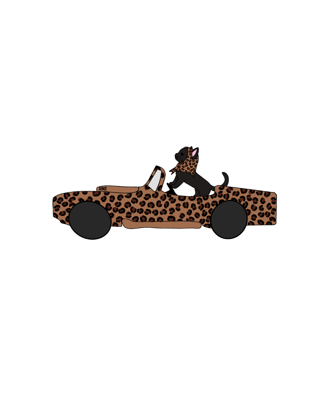 VISUELS VOITURE CHAT