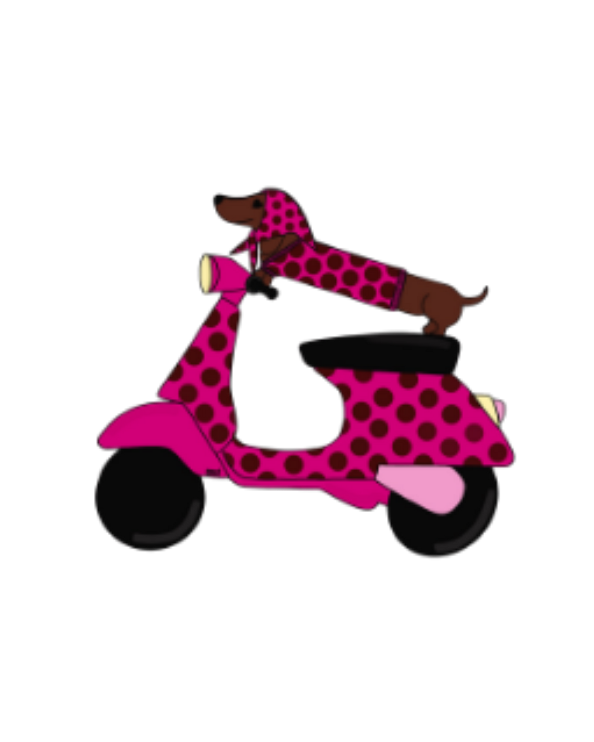 VISUELS TECKEL SCOOTER