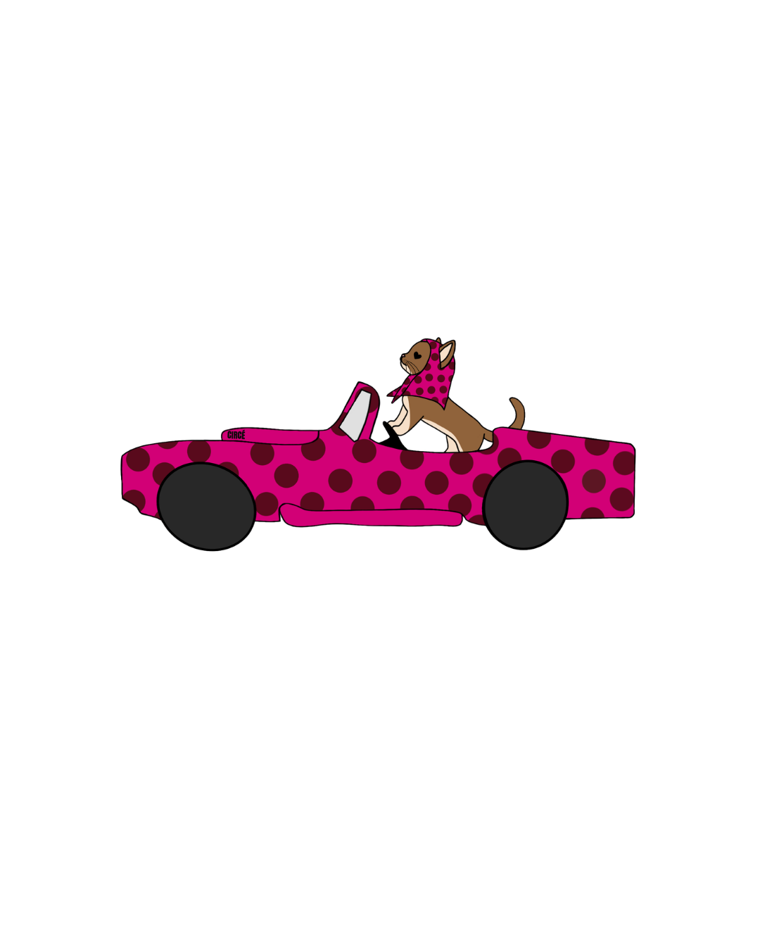 VISUELS VOITURE CHAT